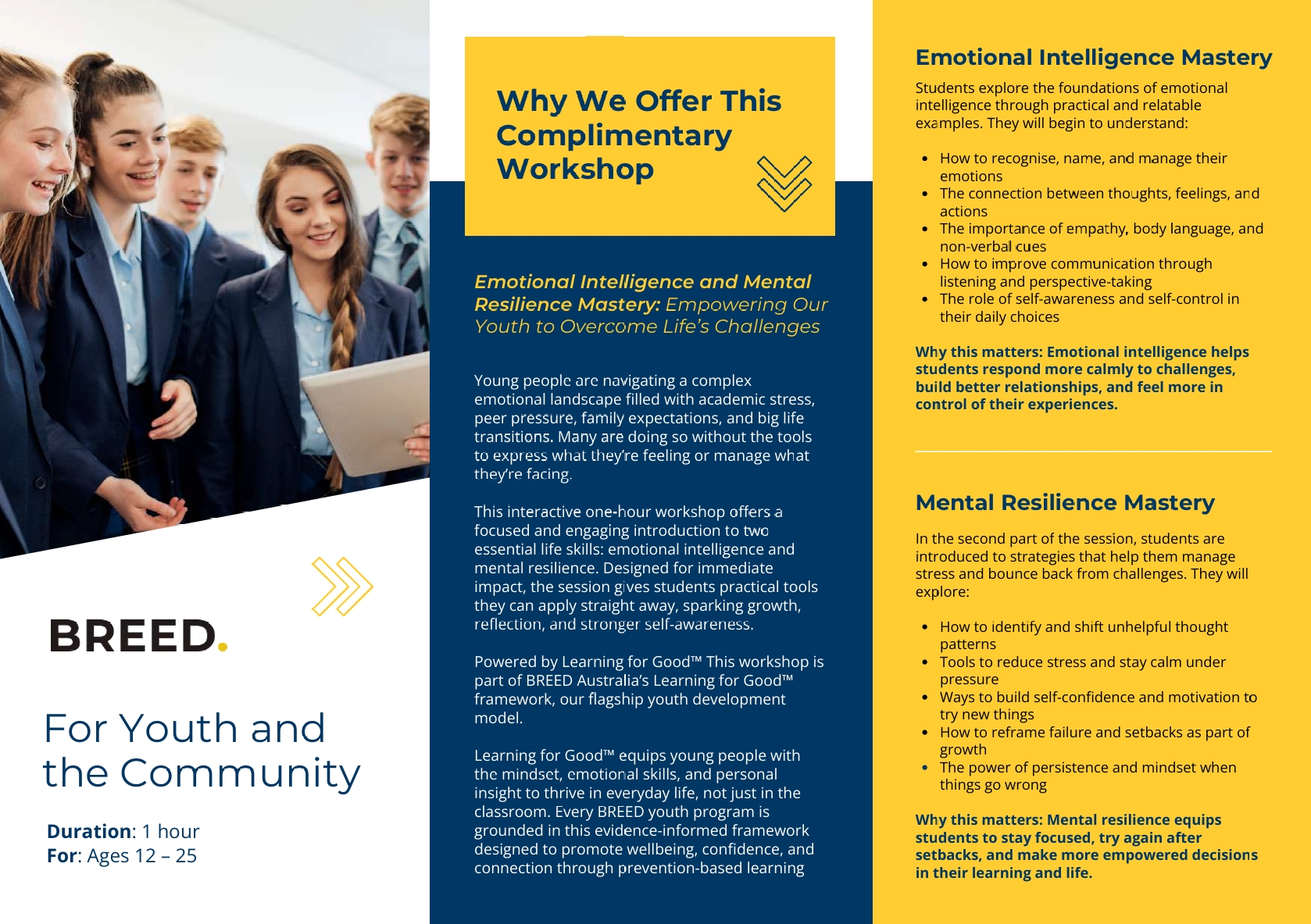 Emotional Intelligence and Mental Resilience Mastery 1 brochure 1 2